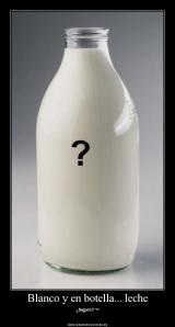 Blanco y en botella - leche