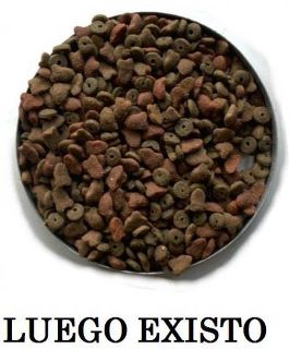 Pienso luego existo - cogito ergo sum