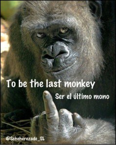 Traducción literal - ser el último mono